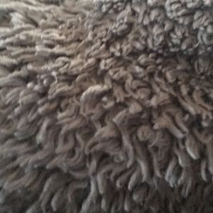 Meet your Posher, Tee